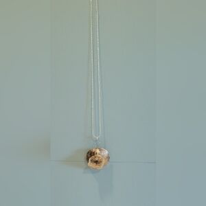 Elegant Handmade Natural Color Seashell On A Silver Chain.